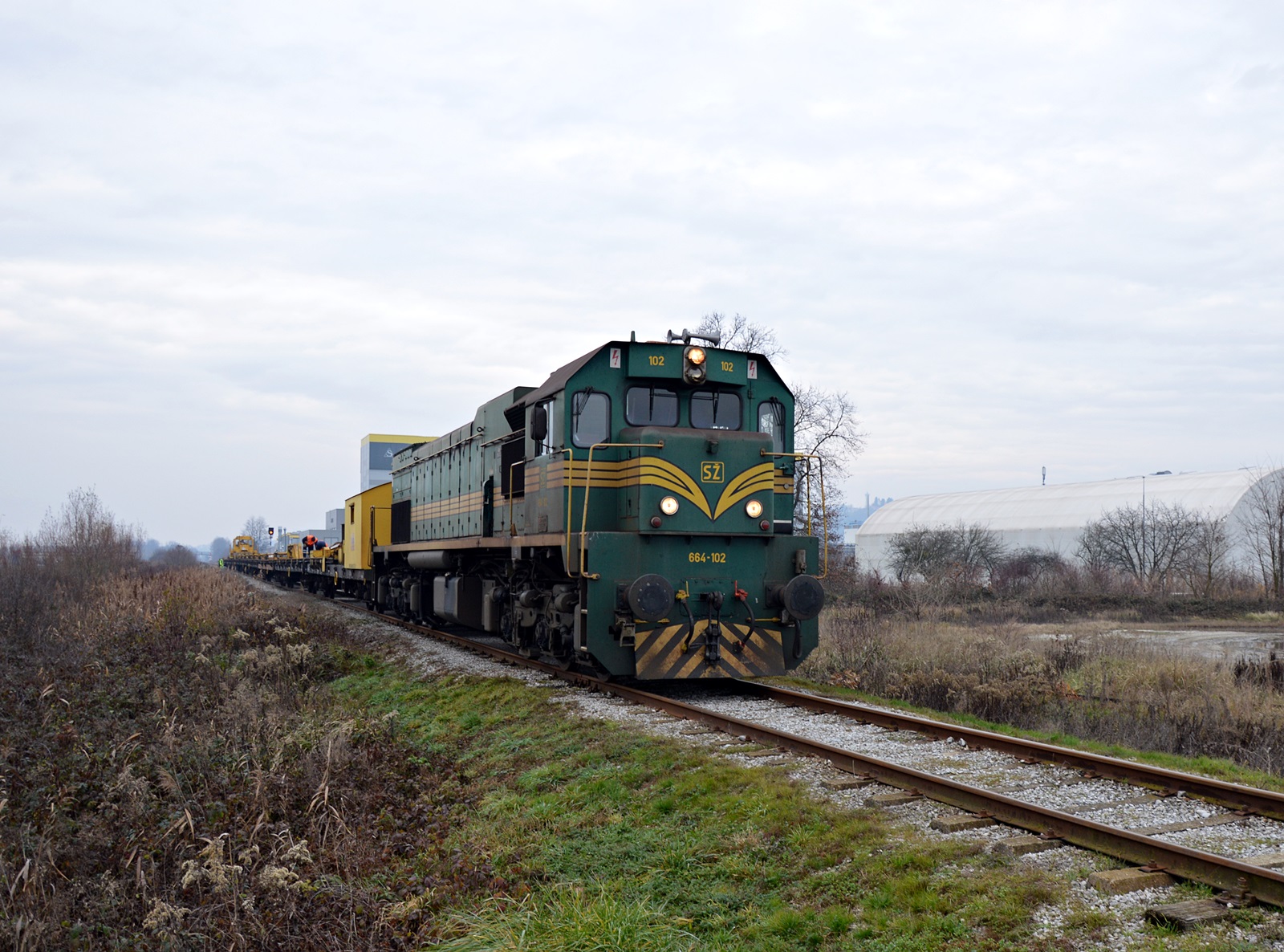 DSC_0144.JPG