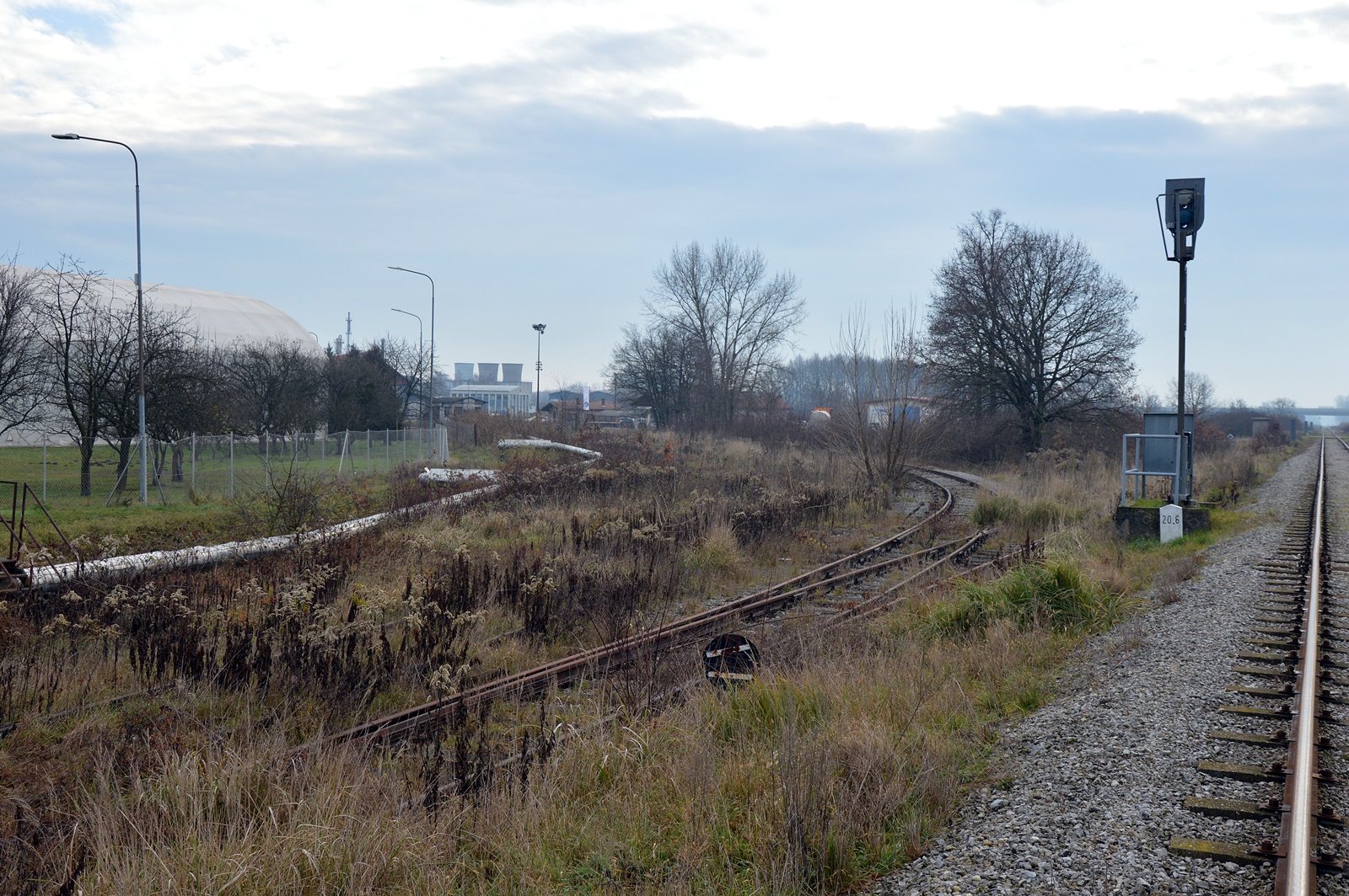 DSC_0101.JPG