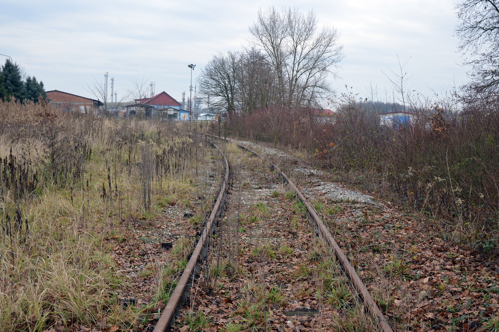 DSC_0121.JPG
