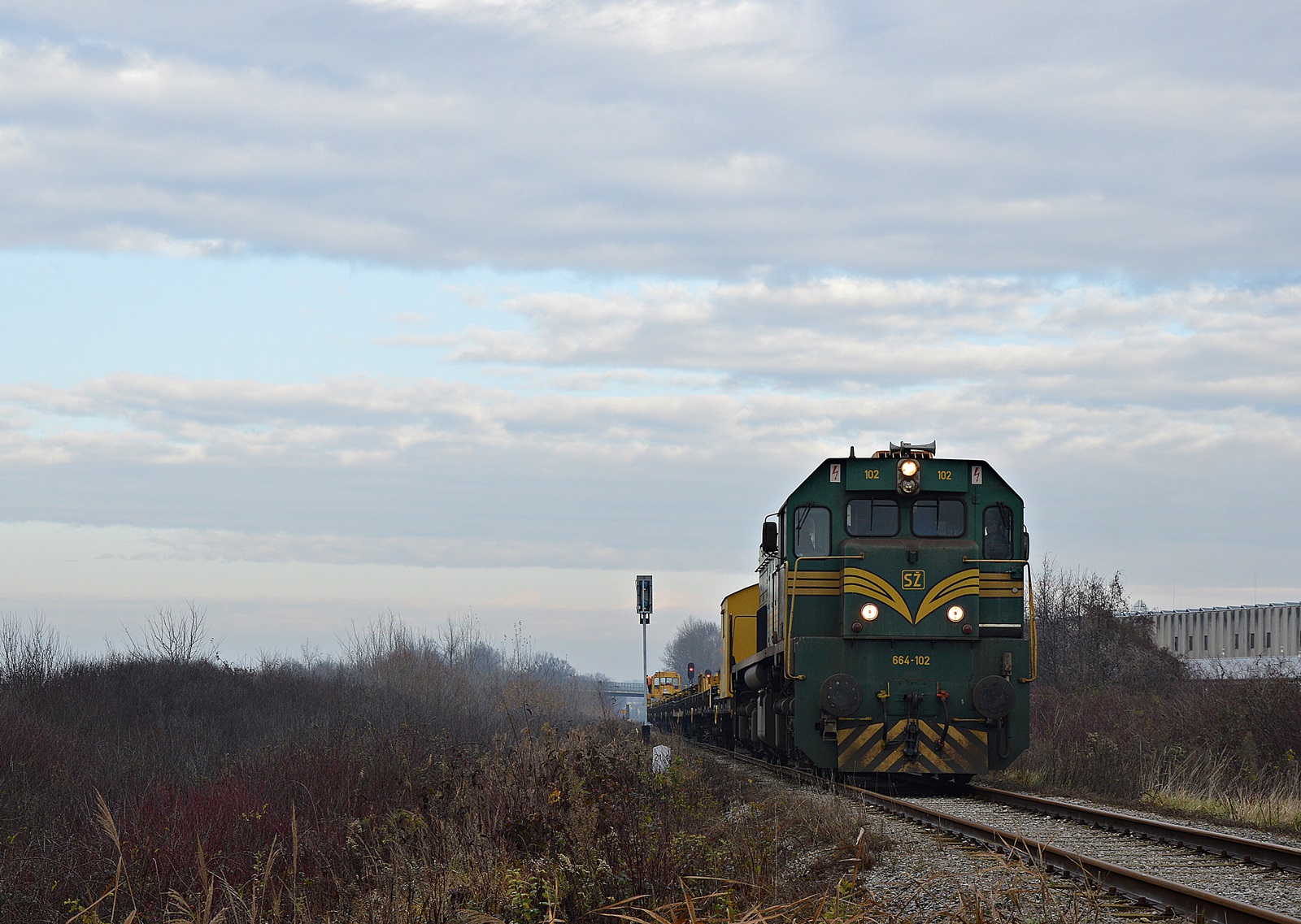 DSC_9958.JPG