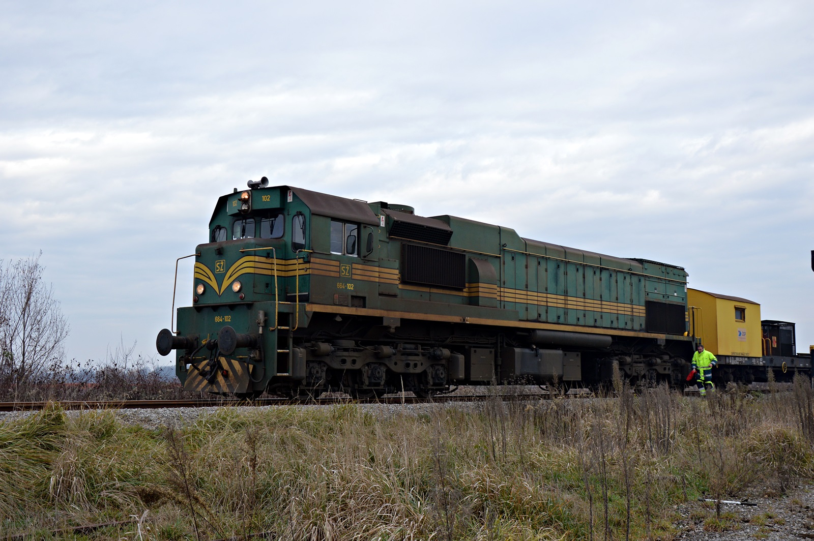 DSC_0133.JPG