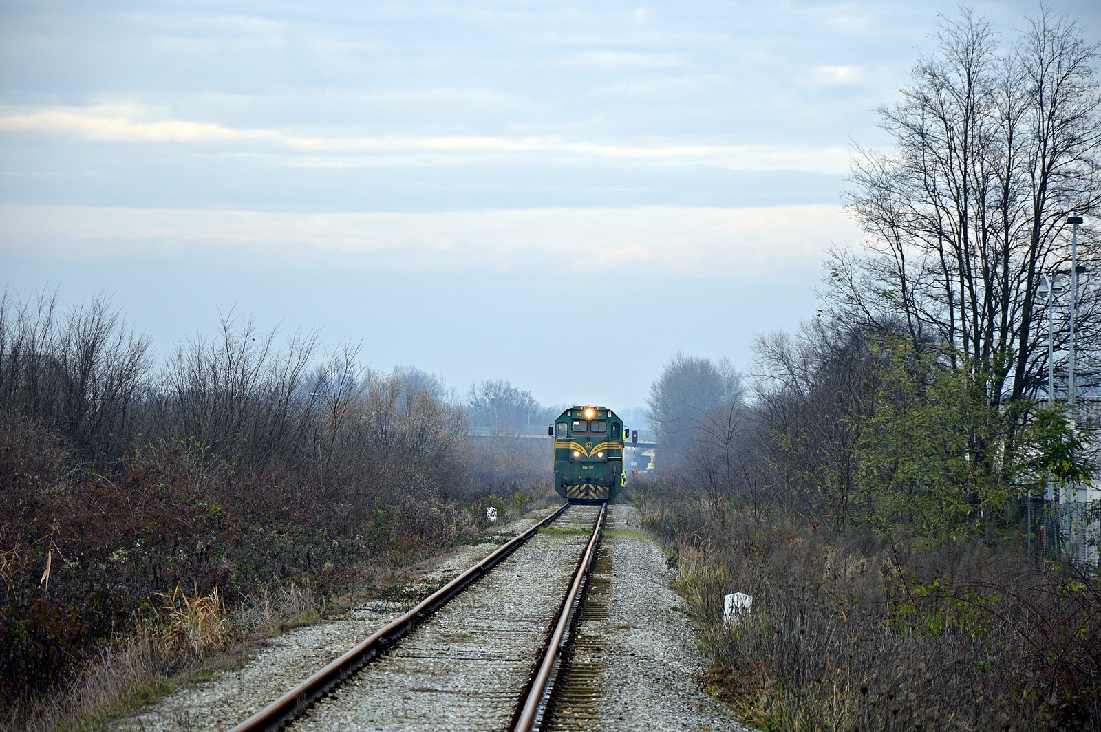 DSC_0081.JPG