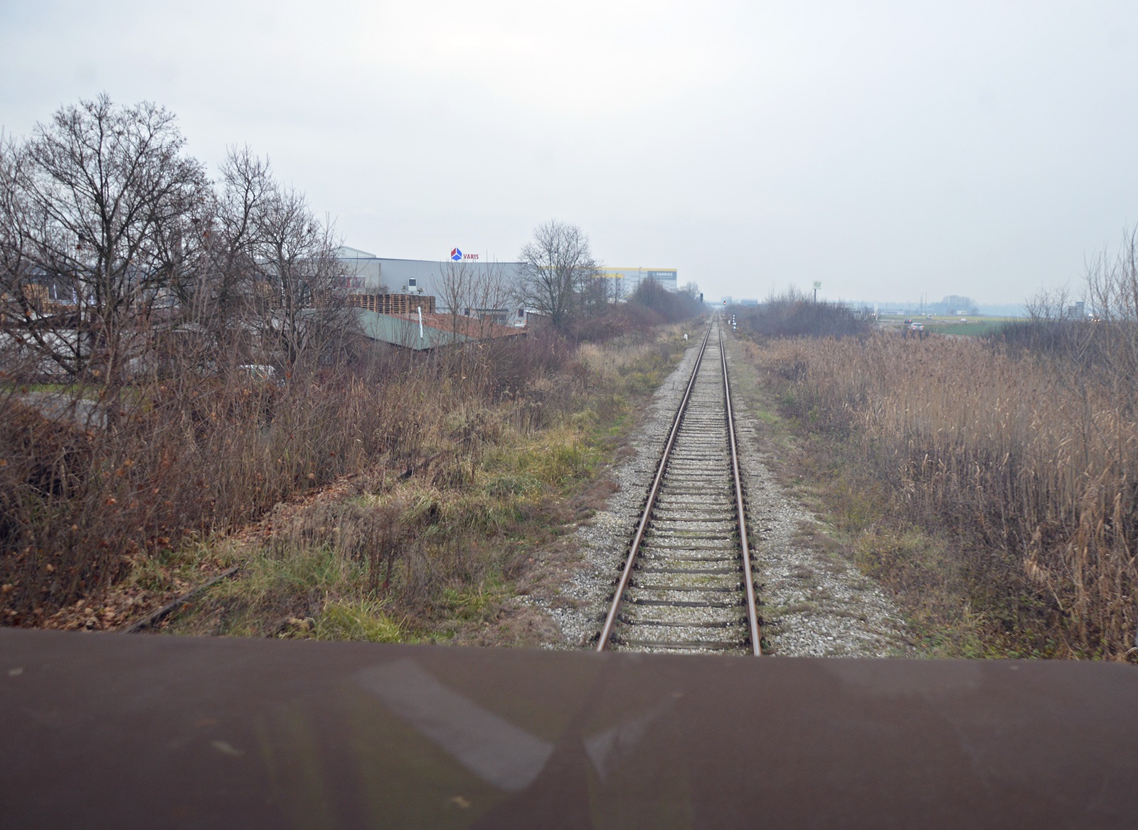 DSC_0163.JPG