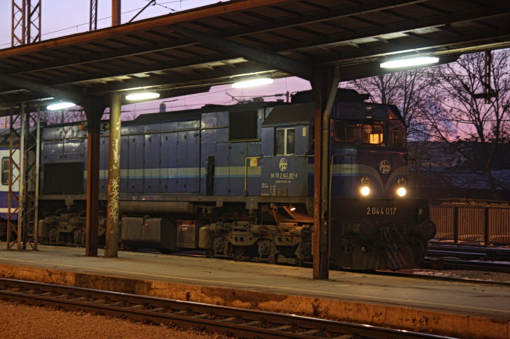 IMG_2801_resize.JPG