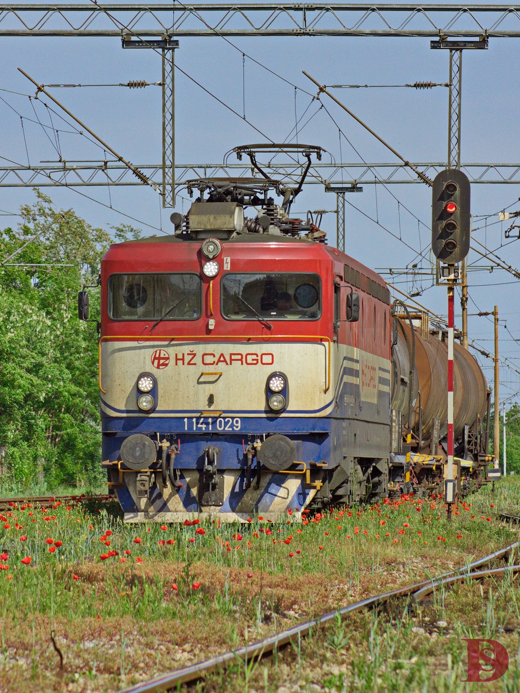 photoshop IMG_7012.jpg