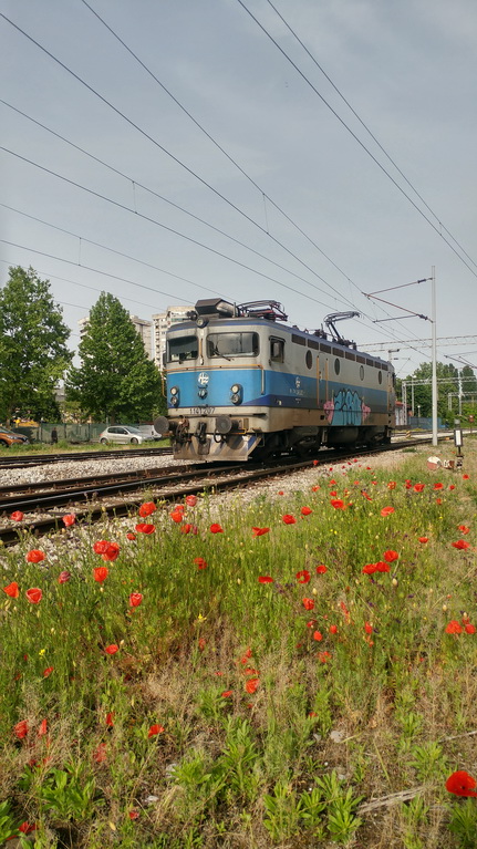 zz crnomerec 20200513 dstanicic_171714_HDR_resize.jpg