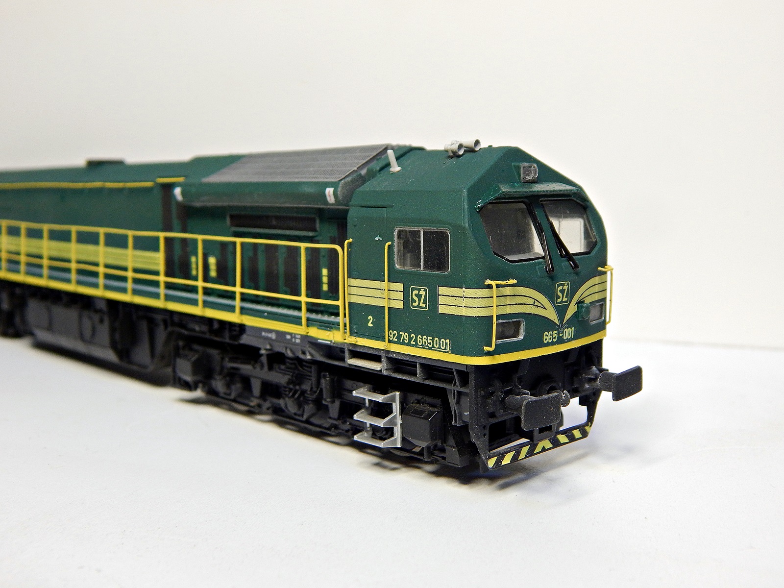 DSCN9655.JPG
