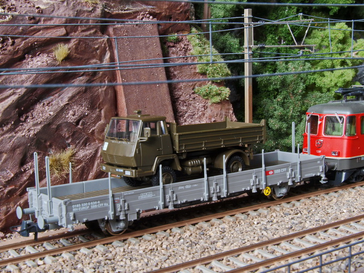 Swiss army1_resize.JPG