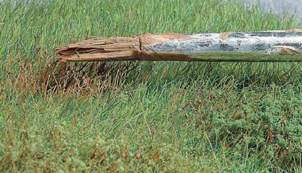 2013-09-22_083722.png