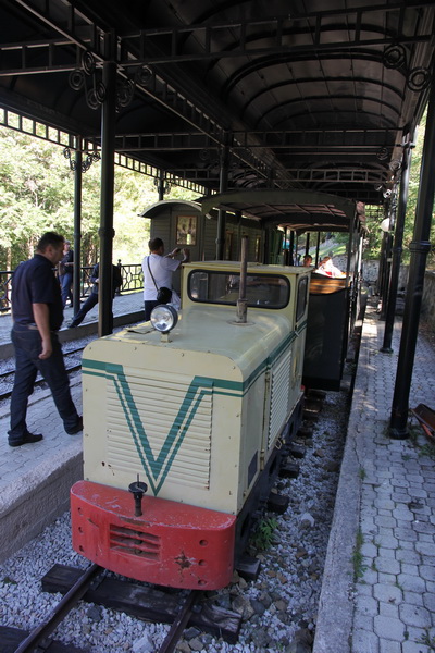 zz bela voda 130905 dstanicic_9621_resize.jpg