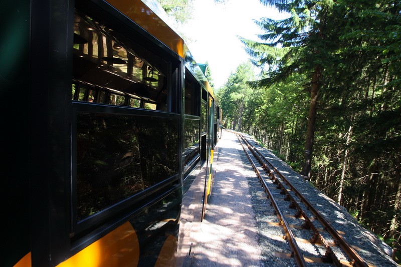 zz Schneebergbahn 120616 dstanicic_6454_resize.jpg